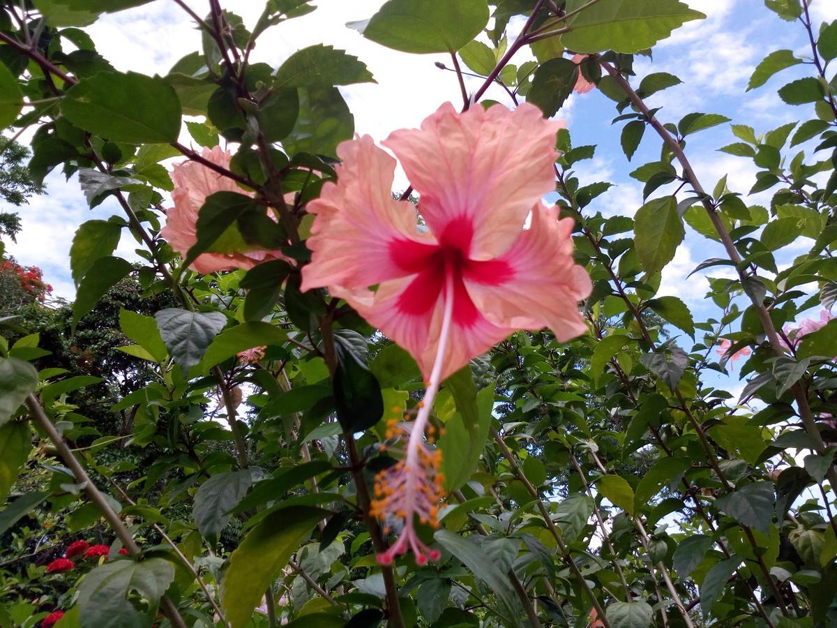 Eco-Lodge El Porvenir. Santa Cruz エクステリア 写真