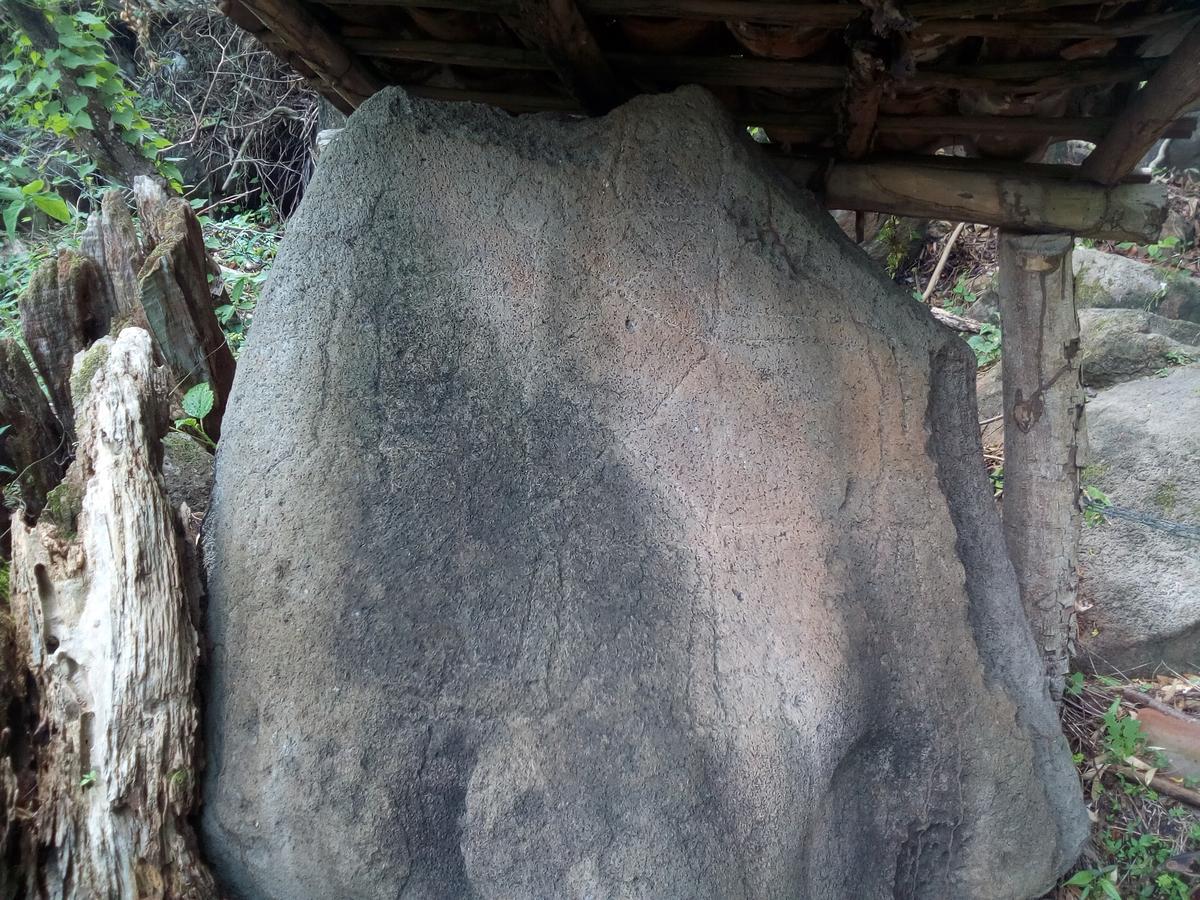 Eco-Lodge El Porvenir. Santa Cruz エクステリア 写真