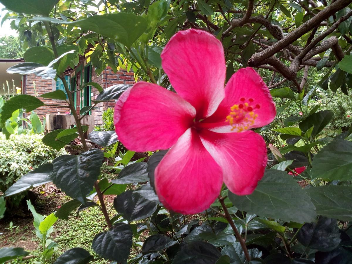 Eco-Lodge El Porvenir. Santa Cruz エクステリア 写真