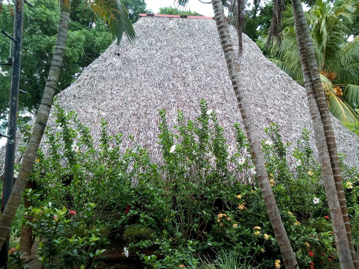 Eco-Lodge El Porvenir. Santa Cruz エクステリア 写真